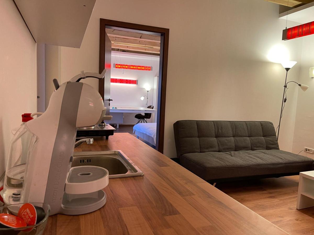 Savoya4 Old City Center Self Checkin Workspacestudio Timisoara Esterno foto