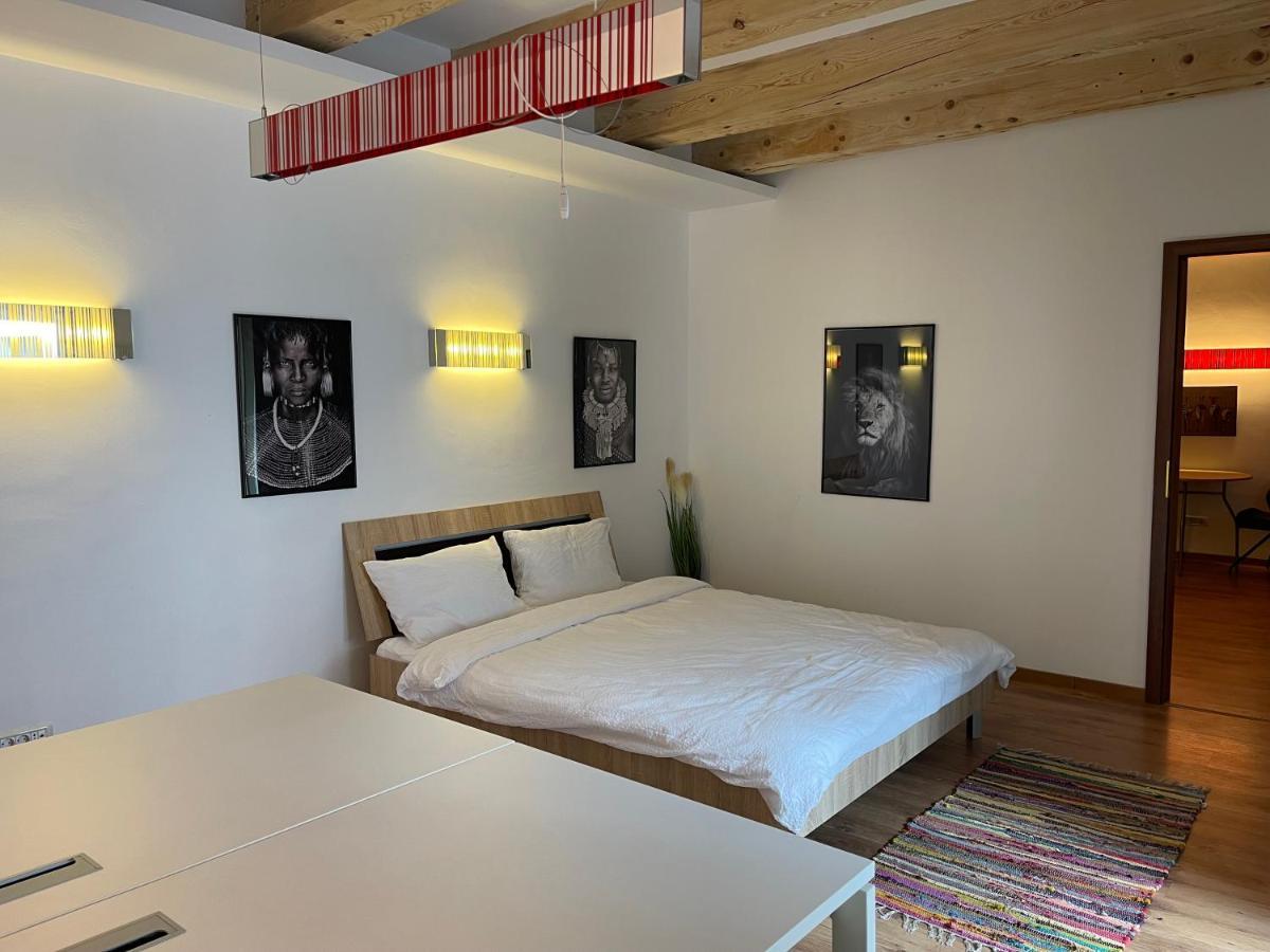 Savoya4 Old City Center Self Checkin Workspacestudio Timisoara Esterno foto