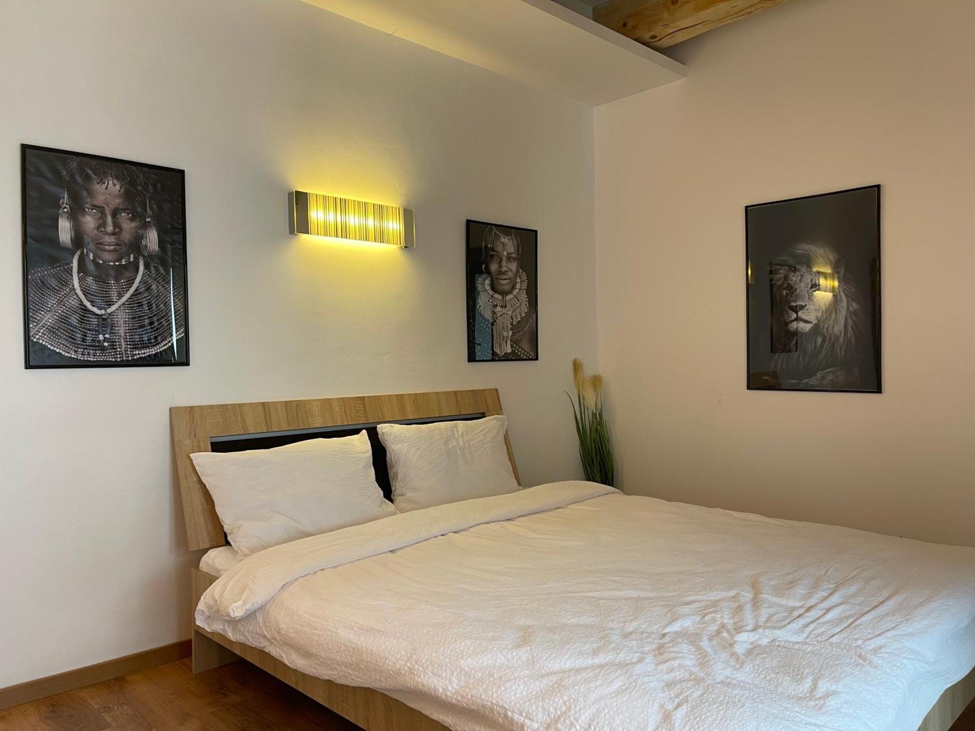 Savoya4 Old City Center Self Checkin Workspacestudio Timisoara Esterno foto